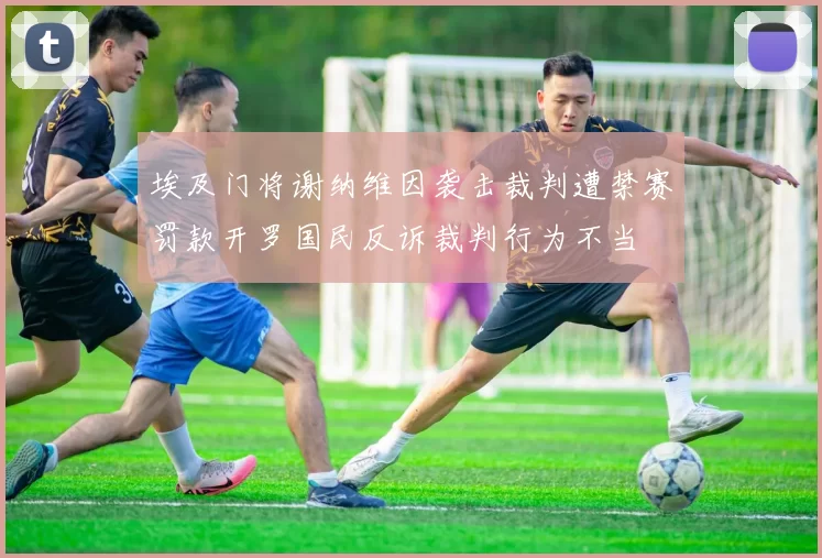 埃及门将谢纳维因袭击裁判遭禁赛罚款开罗国民反诉裁判行为不当
